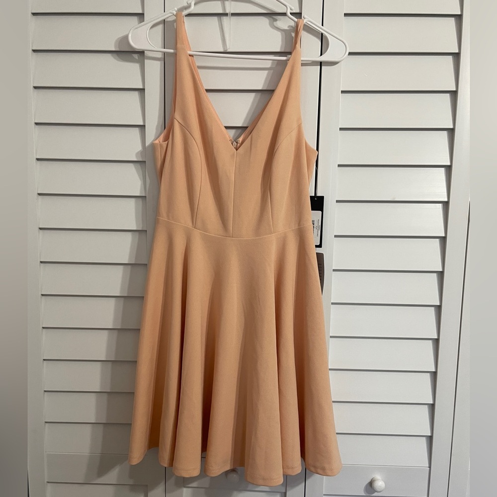 Lulu’s blush skater dress NWT!